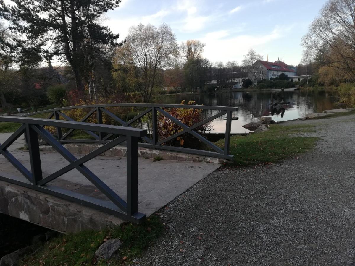 Guglhupf Wohlfuehl-Maisonette Mit Boxspring, Disney, Netflix Braunlage Eksteriør billede