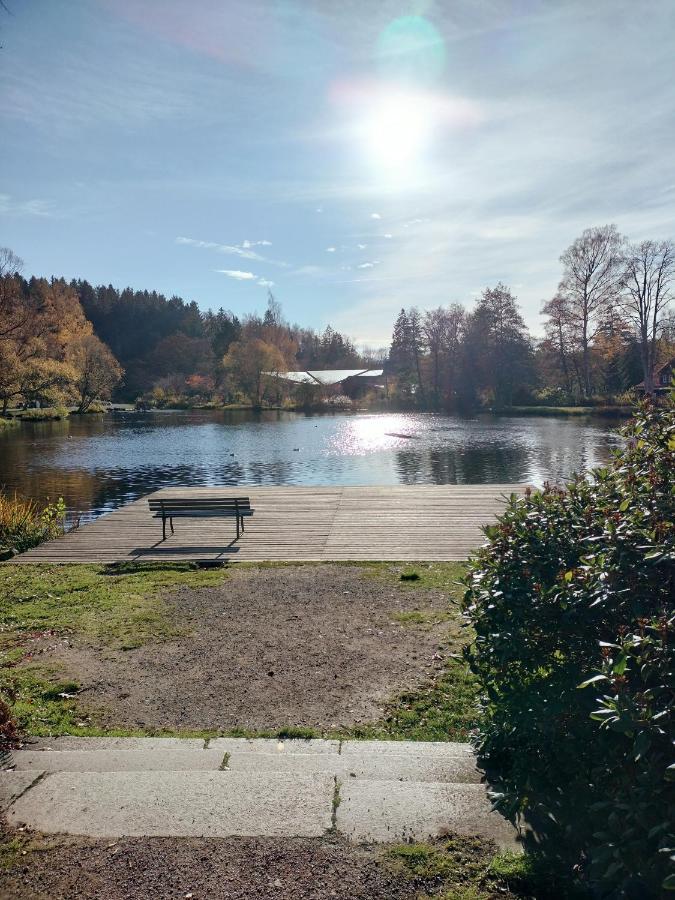 Guglhupf Wohlfuehl-Maisonette Mit Boxspring, Disney, Netflix Braunlage Eksteriør billede